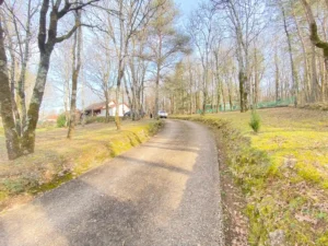 achat avec travaux savignac-les-eglises dordogne