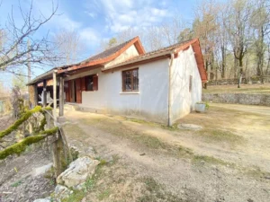 vente immobiliere savignac-les-eglises