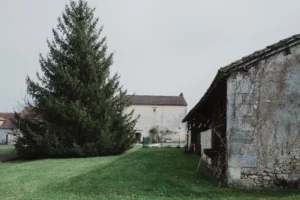 achat immobilier dordogne périgueux