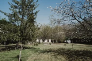 achat maison immo coursac