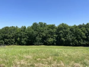 terrain a vendre boulazac proche perigueux