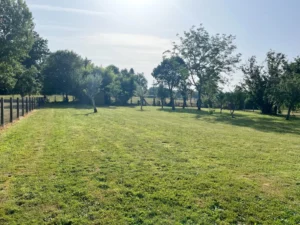 Terrain à vendre à Saint-astier centre - agence immobilière périgueux - Yolo immobilier