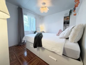 maison a vendre saint-medard-de-mussidan 24400