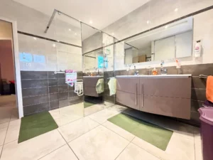 achat maison trélissac